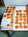 rosettes5-2001
