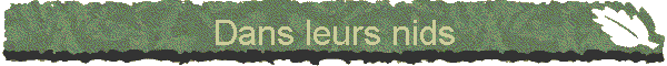 Dans leurs nids