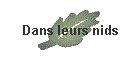 Dans leurs nids