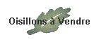 Oisillons  Vendre
