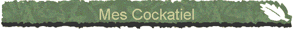 Mes Cockatiel