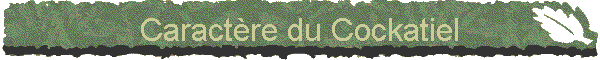 Caractre du Cockatiel
