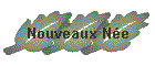 Nouveaux Ne