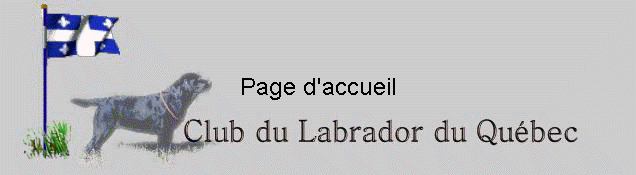 Page d'accueil