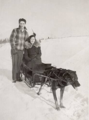 Attelage d'un chien (15 Ko)