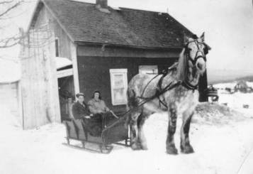 Magnifique cheval tirant un berlot (13 Ko)