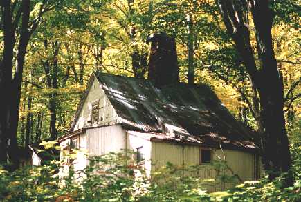 cabane en t (17 Ko)