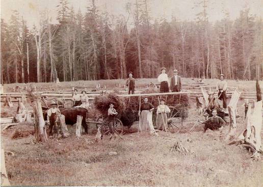 Colonisation, nouvelle tere (41 Ko)