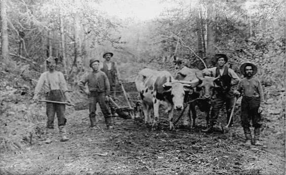Les défricheurs du rang St-Georges (45 Ko)