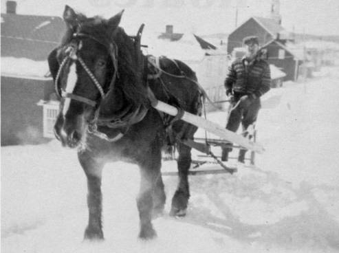 Le cheval sert  l'entretient des chemins l'hiver (23 Ko)