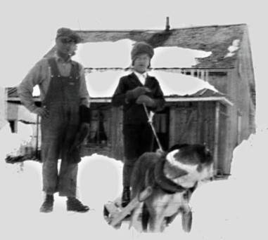 Chien servant au transport (15 Ko)