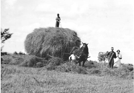 Faire les foins  cheval (22 Ko)