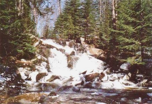 Chutes du moulin � scie de Xavier C�t� (45 Ko)