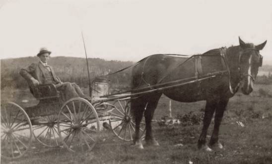 Voiture  cheval avec sige (20 Ko)