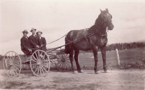 Voiture avec ressort tir par un cheval (22 Ko)